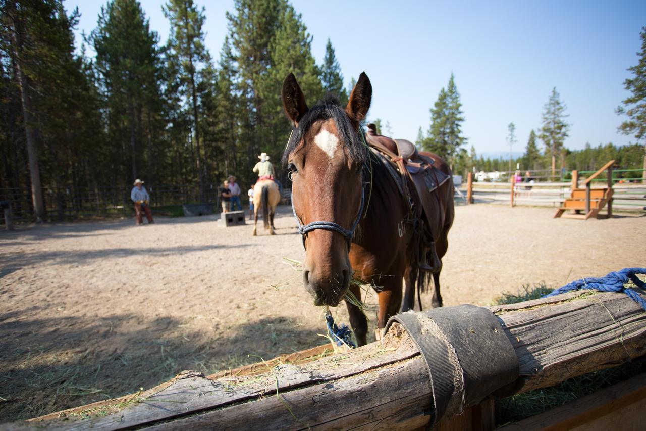 Headwaters Lodge & Cabins At Flagg Ranch โมแรน ภายนอก รูปภาพ